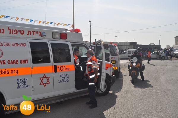 fireludkartoonmasna34 (29).JPG